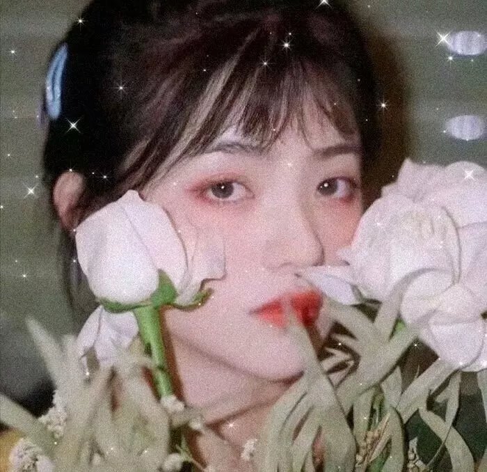 沉香如屑·沉香重华